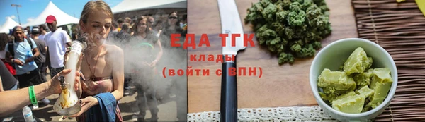 индика Арсеньев