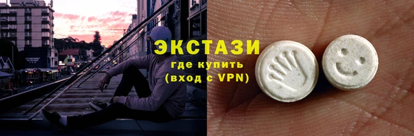 индика Арсеньев