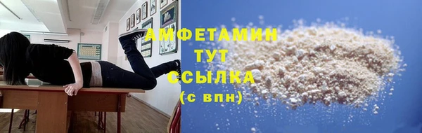 PSILOCYBIN Аркадак