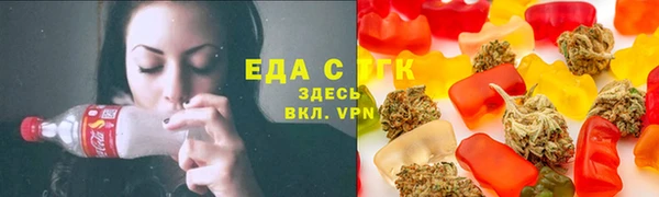 индика Арсеньев