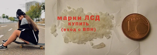 индика Арсеньев