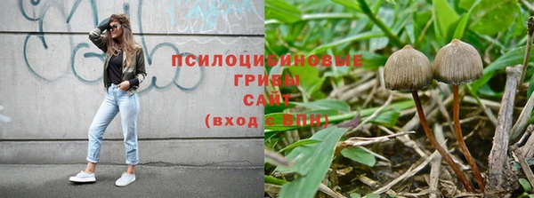 индика Арсеньев
