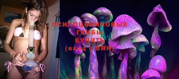 индика Арсеньев